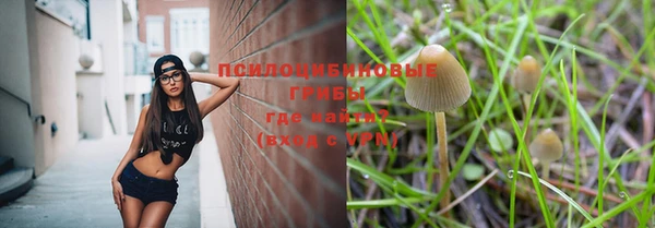 a pvp Алексеевка