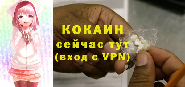 спайс Алексин