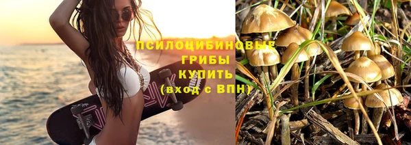 спайс Алексин